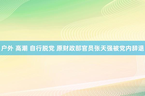 户外 高潮 自行脱党 原财政部官员张天强被党内辞退