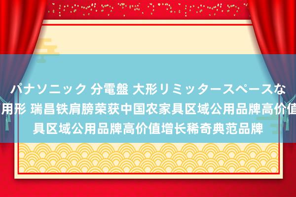 パナソニック 分電盤 大形リミッタースペースなし 露出・半埋込両用形 瑞昌铁肩膀荣获中国农家具区域公用品牌高价值增长稀奇典范品牌