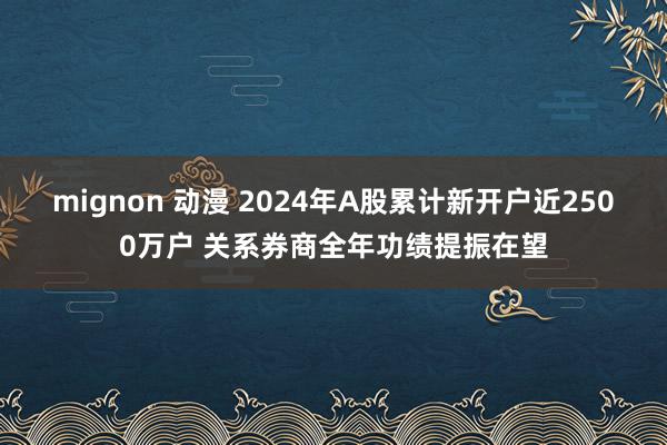 mignon 动漫 2024年A股累计新开户近2500万户 关系券商全年功绩提振在望