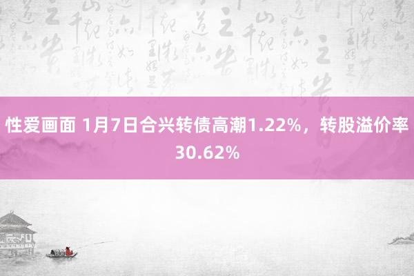 性爱画面 1月7日合兴转债高潮1.22%，转股溢价率30.62%