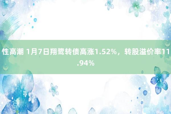 性高潮 1月7日翔鹭转债高涨1.52%，转股溢价率11.94%