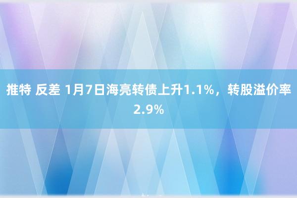 推特 反差 1月7日海亮转债上升1.1%，转股溢价率2.9%