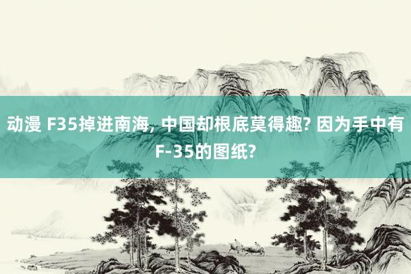 动漫 F35掉进南海, 中国却根底莫得趣? 因为手中有F-35的图纸?