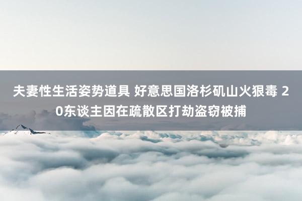 夫妻性生活姿势道具 好意思国洛杉矶山火狠毒 20东谈主因在疏散区打劫盗窃被捕