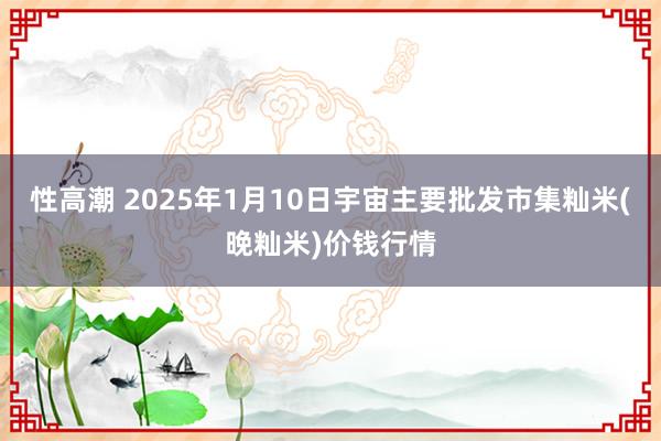 性高潮 2025年1月10日宇宙主要批发市集籼米(晚籼米)价钱行情