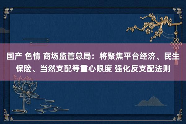 国产 色情 商场监管总局：将聚焦平台经济、民生保险、当然支配等重心限度 强化反支配法则