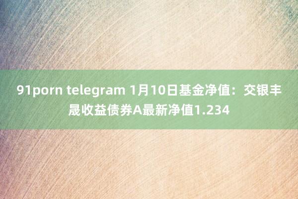 91porn telegram 1月10日基金净值：交银丰晟收益债券A最新净值1.234