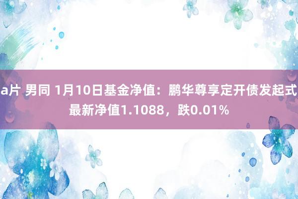 a片 男同 1月10日基金净值：鹏华尊享定开债发起式最新净值1.1088，跌0.01%