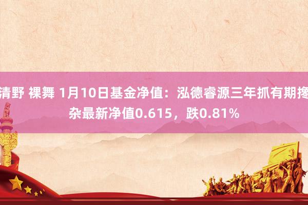 清野 裸舞 1月10日基金净值：泓德睿源三年抓有期搀杂最新净值0.615，跌0.81%