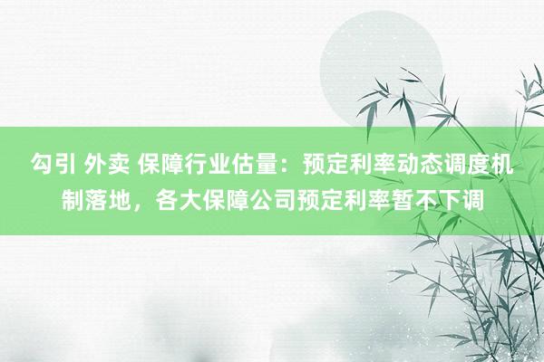 勾引 外卖 保障行业估量：预定利率动态调度机制落地，各大保障公司预定利率暂不下调