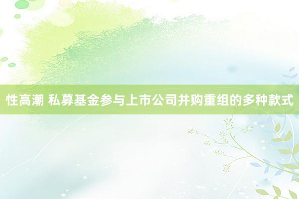 性高潮 私募基金参与上市公司并购重组的多种款式