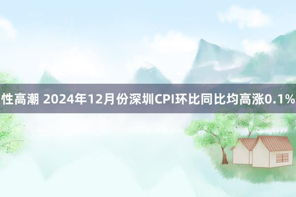 性高潮 2024年12月份深圳CPI环比同比均高涨0.1%