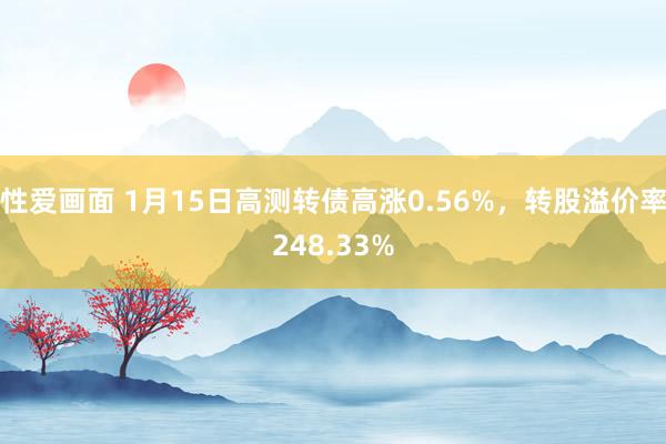 性爱画面 1月15日高测转债高涨0.56%，转股溢价率248.33%