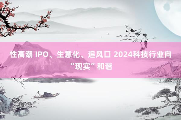 性高潮 IPO、生意化、追风口 2024科技行业向“现实”和谐