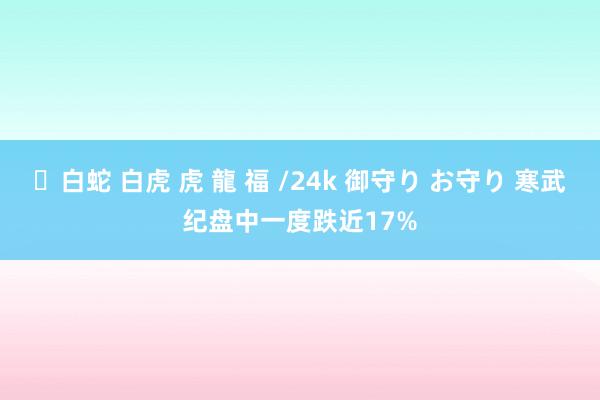 ✨白蛇 白虎 虎 龍 福 /24k 御守り お守り 寒武纪盘中一度跌近17%