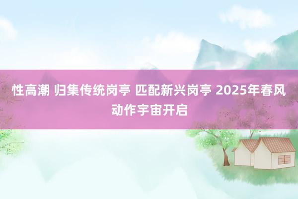 性高潮 归集传统岗亭 匹配新兴岗亭 2025年春风动作宇宙开启