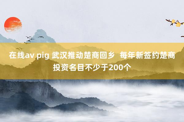 在线av pig 武汉推动楚商回乡  每年新签约楚商投资名目不少于200个