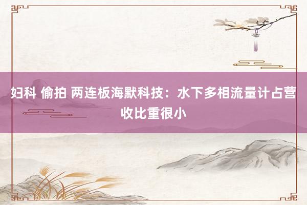 妇科 偷拍 两连板海默科技：水下多相流量计占营收比重很小