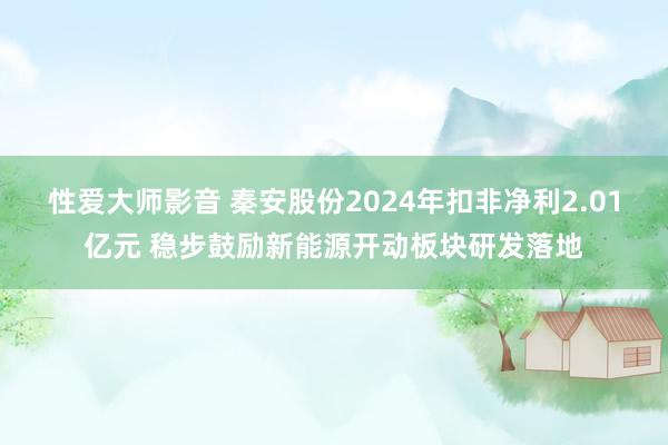 性爱大师影音 秦安股份2024年扣非净利2.01亿元 稳步鼓励新能源开动板块研发落地